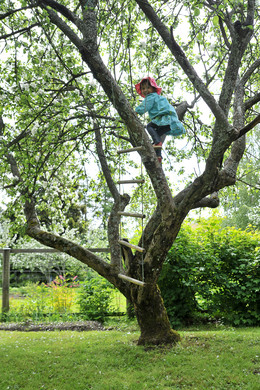 kristiinankaupunki koe tapahtuma avoimetportit 2