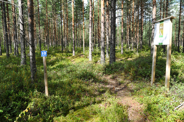kristinestad naturohavet vandringsledluontopolku 4