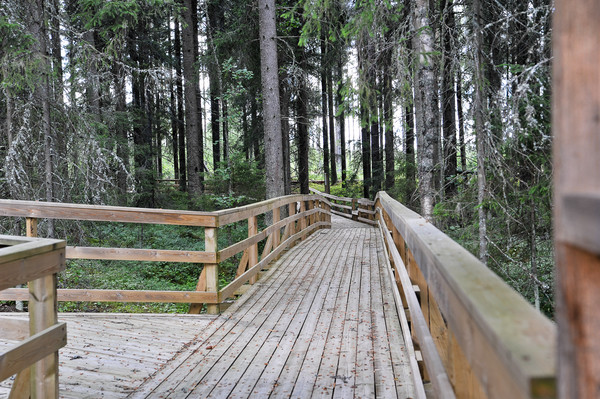 kristinestad naturohavet vandringsledluontopolku 5