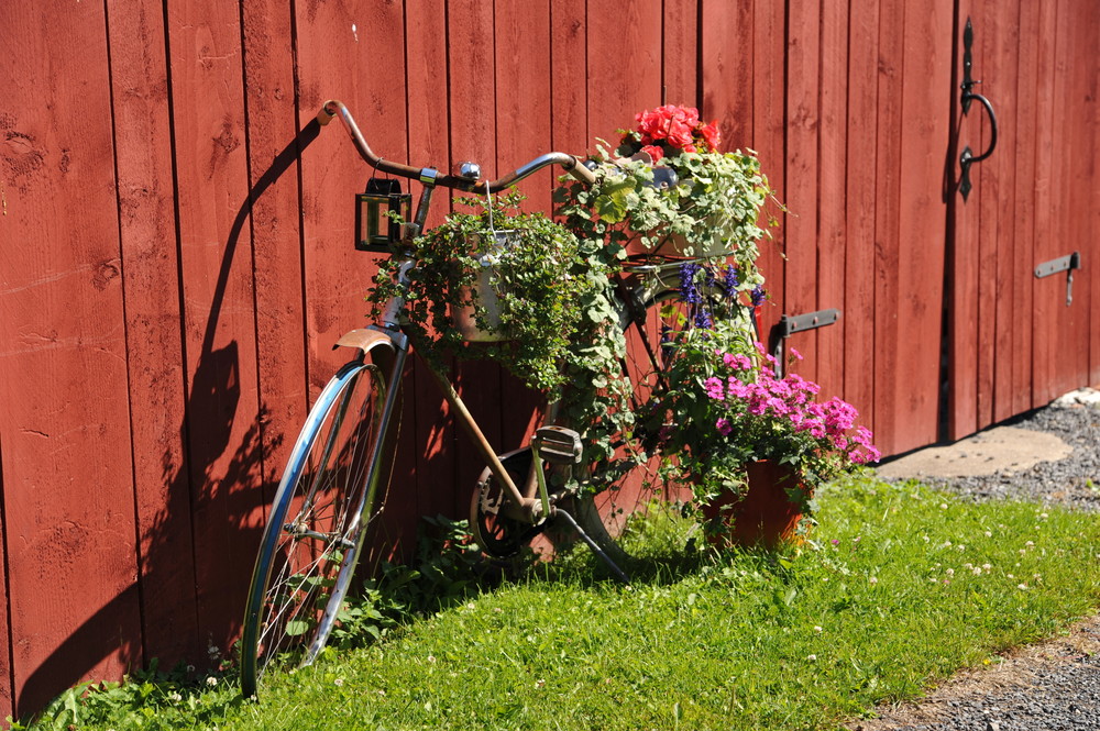 cittaslow illustration 133