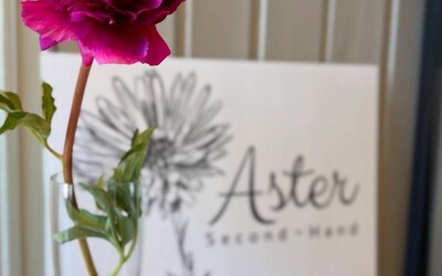 504530469 17853061152467760 1102459768194564077 n3